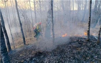 В Шушенском районе сгорело 2,7 га леса в окрестностях села Дубенское